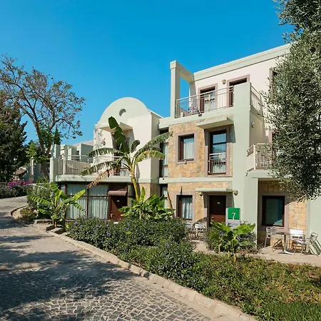 Complex Duja Bodrum